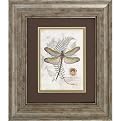 Set of 2 Dragonfly Framed Art - Green