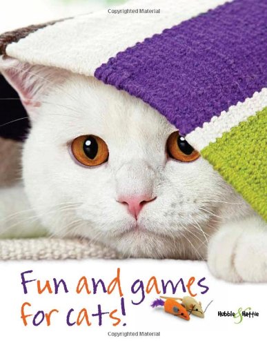 Fun and Games for Cats!
