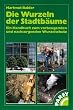 Die Wurzeln der Stadtb�ume. Ein Handbuch zum vorbeugenden und nachsorgenden Wurzelschutz