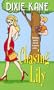Chasing Lily (Zebra Contemporary Romance)