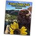 Custer State Park: From the Mountains to the Plains