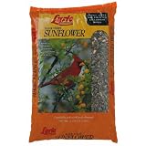 Lebanon Seaboard 5Lb Black Stripe Sunflower 26-47278