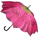 Galleria Big Flower Auto Open Stick Umbrella