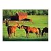 Melissa & Doug KISSING HORSES 200 PC JIGSAW PUZZLE