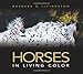 Horses: In Living Color