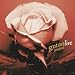 Gotan Project live