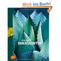 Sukkulenten -