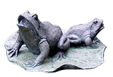 Beckett 7112610 Floating Frogs Pond Art Kit with Pump