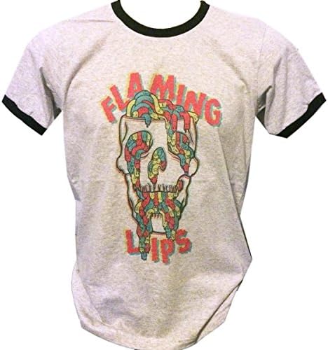 Bkkplaytown Flaming Lips T Shirt Rock Band t Small Grey J455