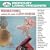 Blue Tango/Sleigh Ride/First Day of Spring/(Sacd)