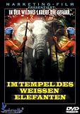 Produkt-Bild: Im Tempel des weissen Elefanten