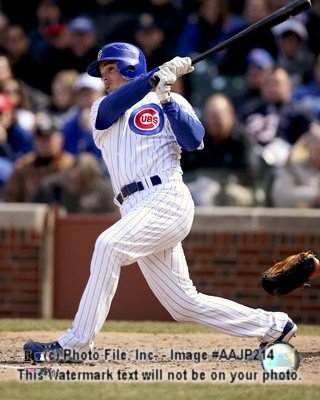 Ryan Theriot - Chicago Cubs batting action MLB 8x10 Photo