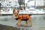 Designer Pet Saver Life Jacket, X-Small (Colors Vary)