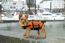 Designer Pet Saver Life Jacket, X-Small (Colors Vary)