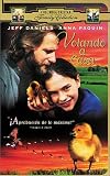 Fly Away Home (Spanish) (Dub Clam)