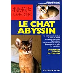 Le chat abyssin