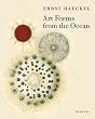 Art Forms from the Ocean: The Radiolarian Prints of Ernst Haeckel