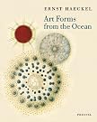 Art Forms from...