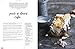 Honestly Healthy in a Hurry: The busy food-lover's cookbook