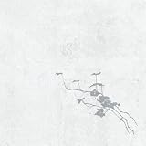 This Is a Process of a Still Life - Light