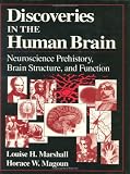 Discoveries in the Human Brain: Neuroscience Prehistory, Brain Structure, and Function
