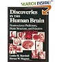 Discoveries in the Human Brain: Neuroscience Prehistory, Brain Structure, and Function