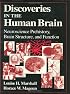 Discoveries in the Human Brain: Neuroscience Prehistory, Brain Structure, and Function