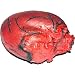 Human Heart Prop: Life-size Foam-filled Latex Halloween Decoration