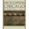 Chicago: Social and Cultural Histories of the Great City