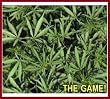 Bumper Crop - The Game!