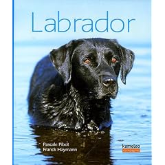 Labrador