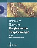 Vergleichende Tierphysiologie, 2 Bde.