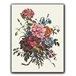 Botanical Print - Gift Enclosure Cards (set of 12)