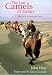 The Lost Camels of Tartary