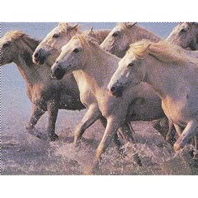 White Horses
