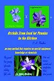 Orchids From Seed for Pennies