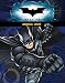 Books : "Batman - the Dark Knight" Annual 2009 ("Batman - the Dark Knight")