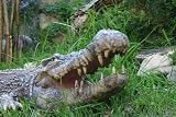 RIESEN Krokodil - ca. 77 cm - Deko für Garten, Terrasse oder Wohnung - Krokodile