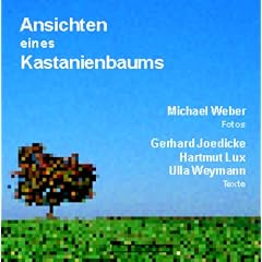 Ansichten eines Kastanienbaums