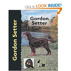 Gordon Setter (Pet Love Dog Breed)