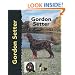 Gordon Setter (Pet Love Dog Breed)