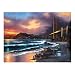 Sunsout California Gold 1000 Piece Jigsaw Puzzle
