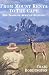 From Mt. Kenya to the Cape