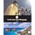 The AVA Guide to Travel Photography