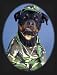 Pet Star Patriotic Notecards - Rottweiler