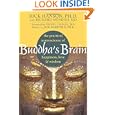 Buddha's Brain: The Practical Neuroscience of Happiness, Love, and Wisdom by Rick Hanson Ph.D. and with Richard Mendius MD