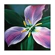 Julia 1016 Original Hand-Painted Oil on Canvas by Carl Sebastian - 32x32"