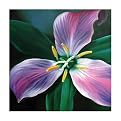 Julia 1016 Original Hand-Painted Oil on Canvas by Carl Sebastian- 32x32"