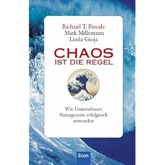 Chaos ist die Regel: Wie Unternehmen Naturgesetze erfolgreich anwenden