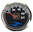 32 Degrees Micro Gauge 600psi